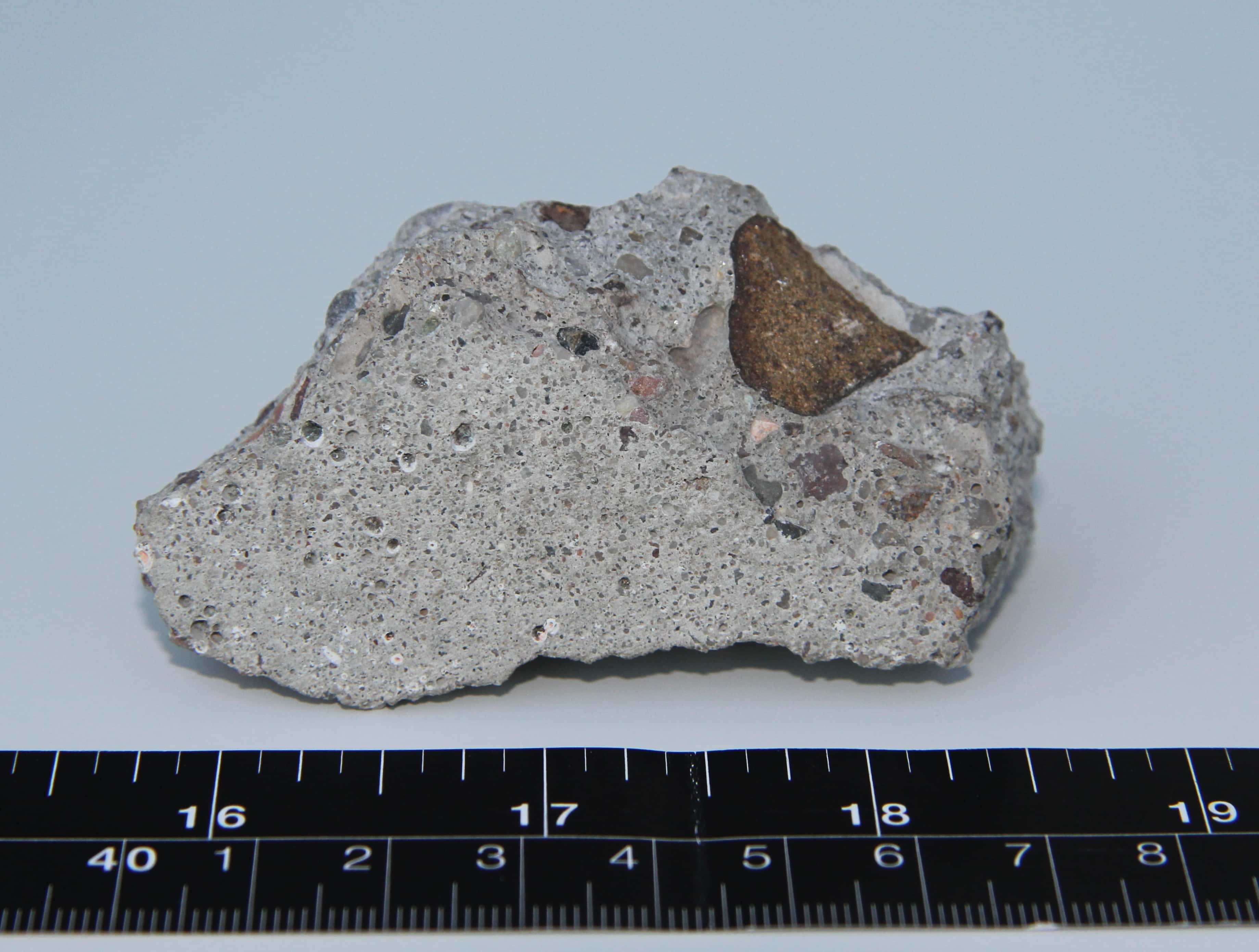 The Fall of the Berlin Wall