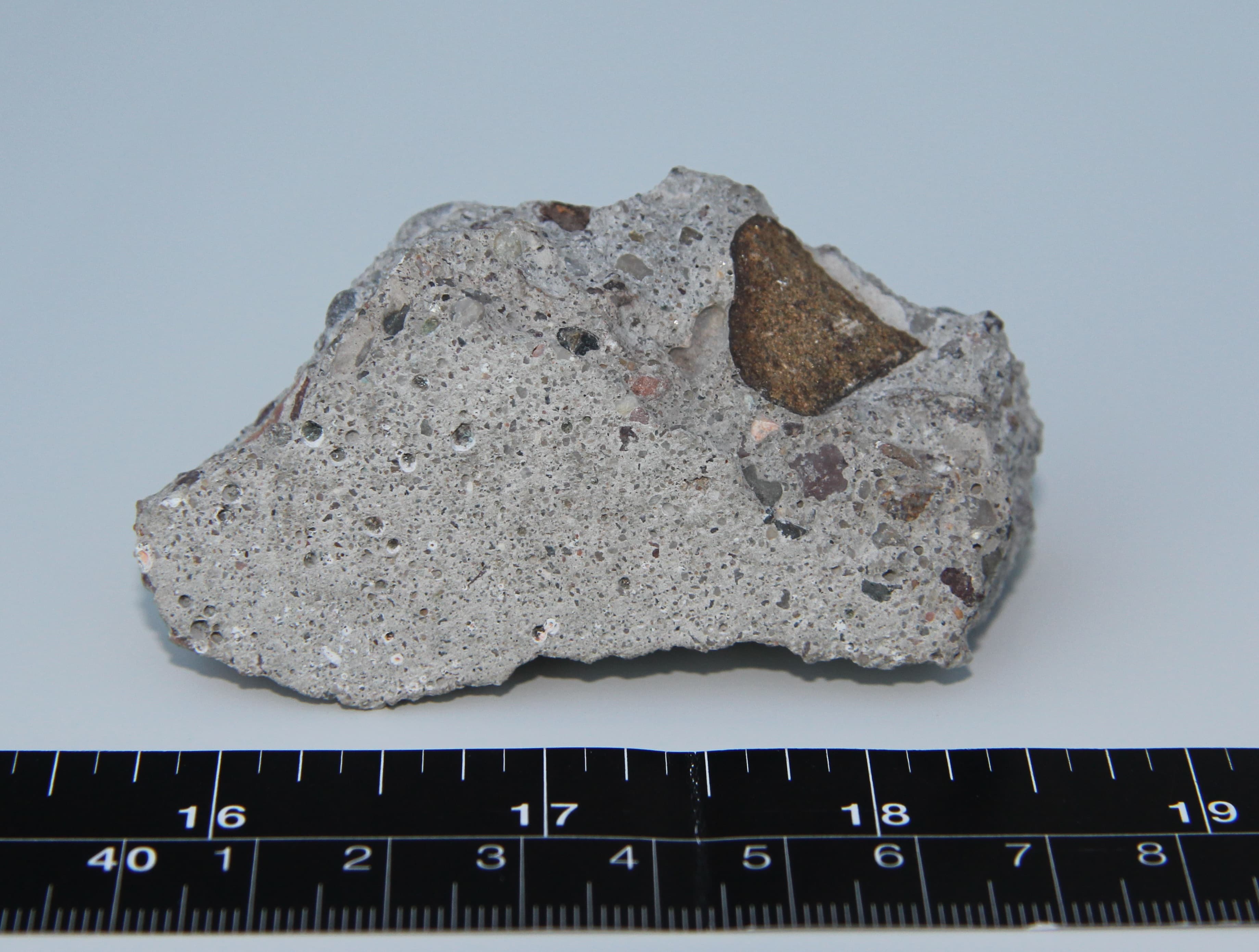 The Fall of the Berlin Wall