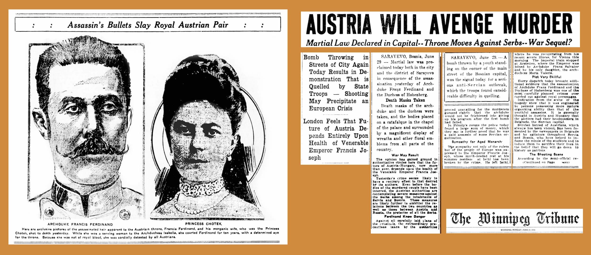 Sophie, Duchess of Hohenberg